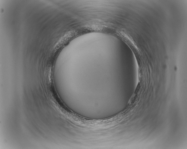 X0000058780023200510211759