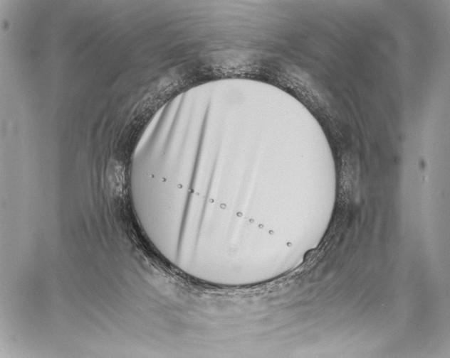 X0000058780025200510211759