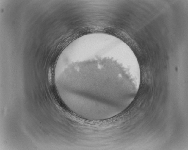 X0000058780026200510211759