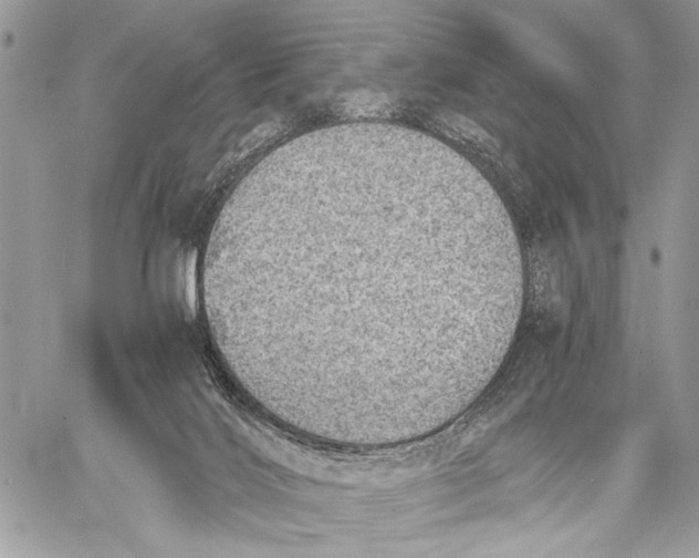 X0000058780028200510211759