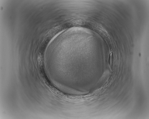 X0000058780029200510211759