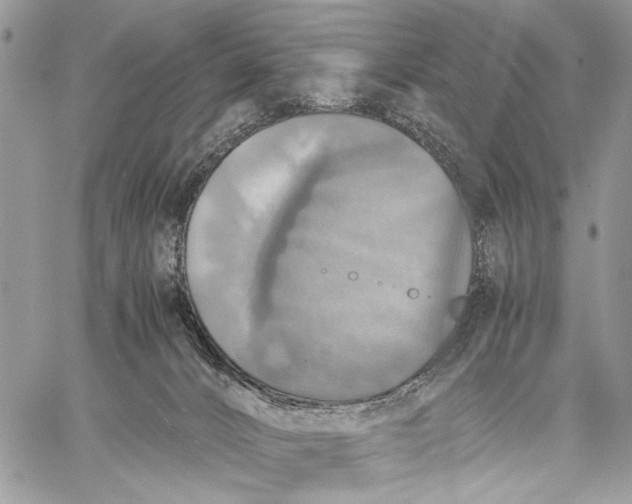 X0000058780032200510211759