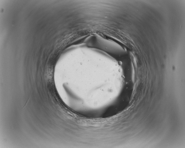 X0000058780033200510211759