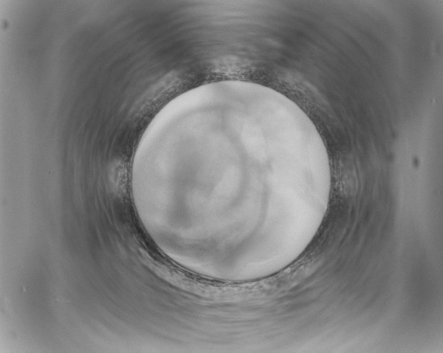 X0000058780036200510211759