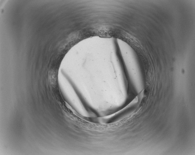 X0000058780037200510211759