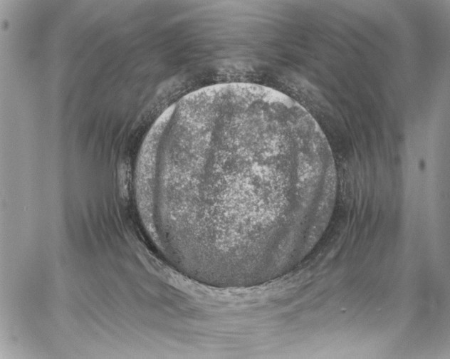 X0000058780038200510211759