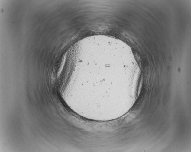 X0000058780040200510211759