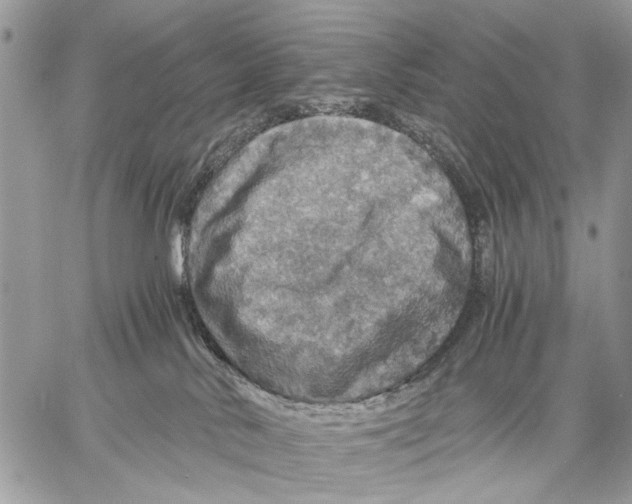 X0000058780042200510211759