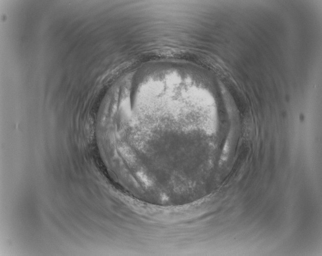 X0000058780043200510211759