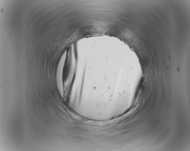 X0000058780045200510211759