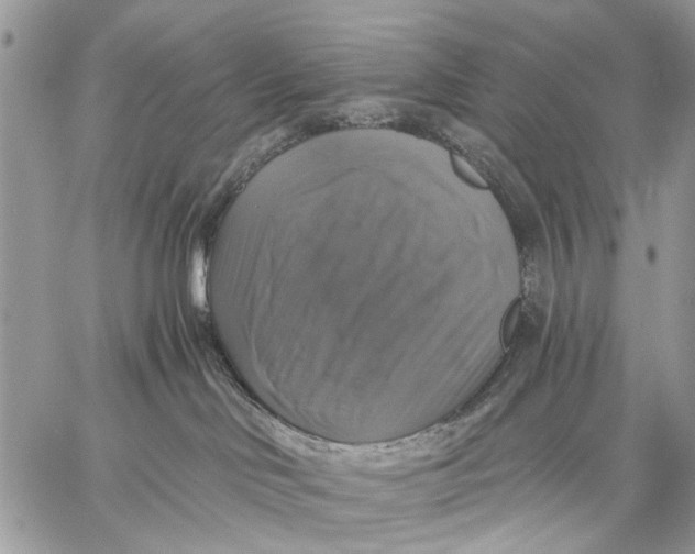 X0000058780046200510211759