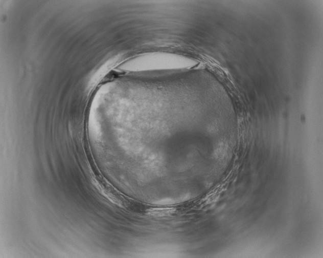 X0000058780051200510211758