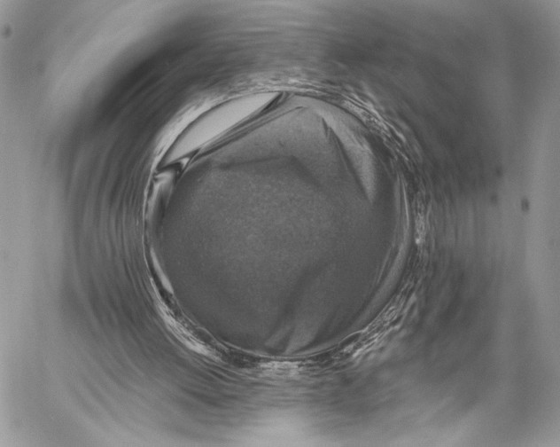 X0000058780052200510211758