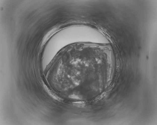 X0000058780053200510211758