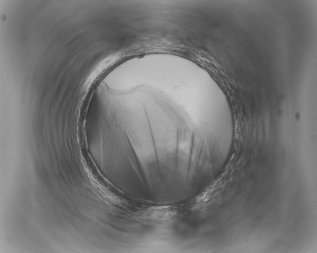 X0000058780054200510211758