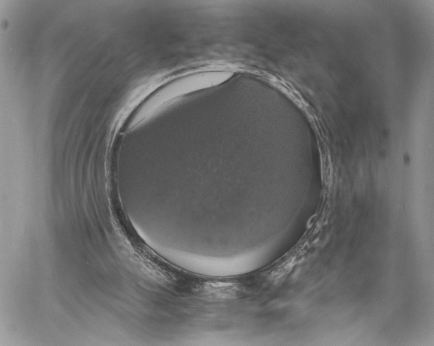 X0000058780055200510211758