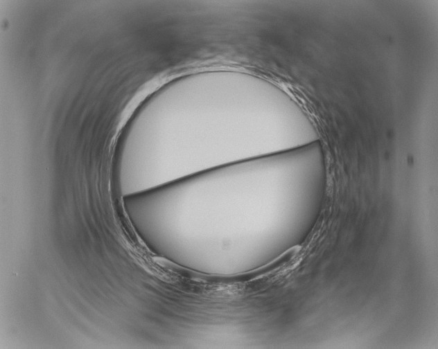 X0000058780056200510211758