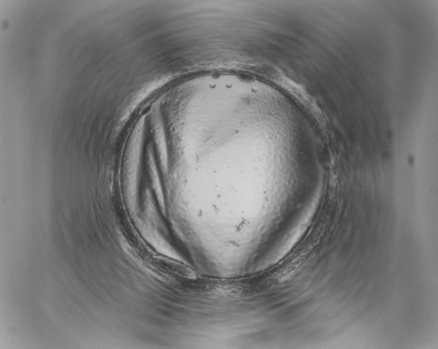 X0000058780060200510211758