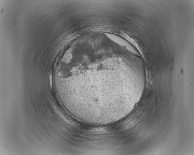 X0000058780061200510211758