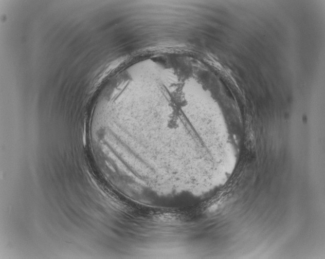 X0000058780062200510211758