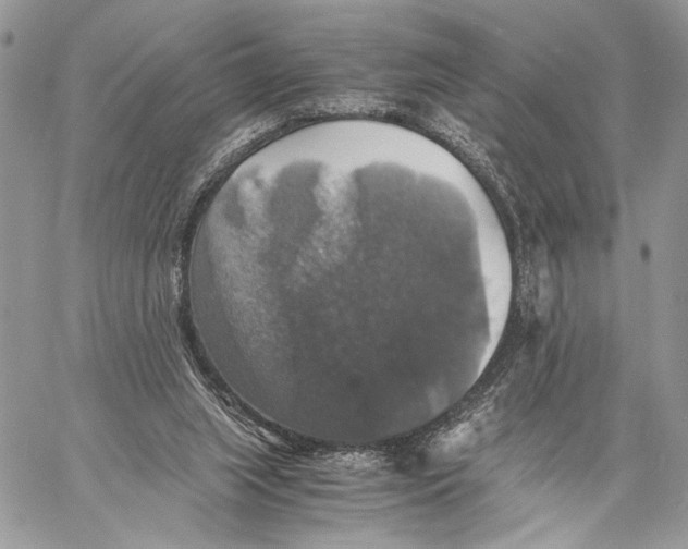 X0000058780063200510211758