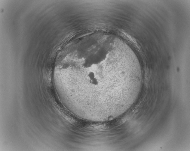 X0000058780065200510211758