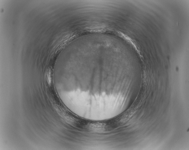 X0000058780069200510211758