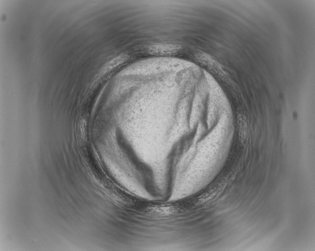 X0000058780071200510211758