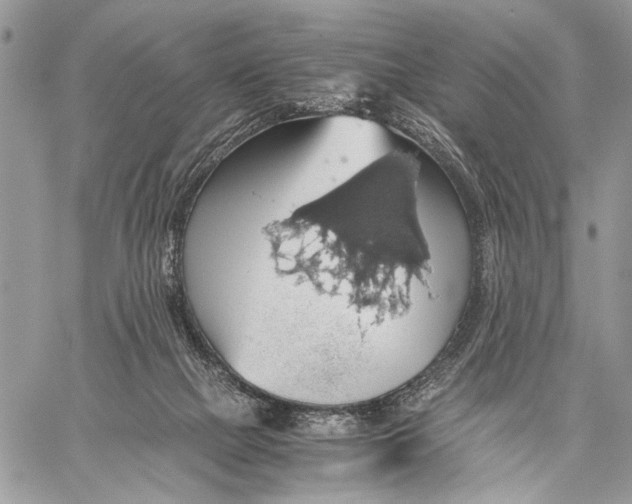 X0000058780073200510211758