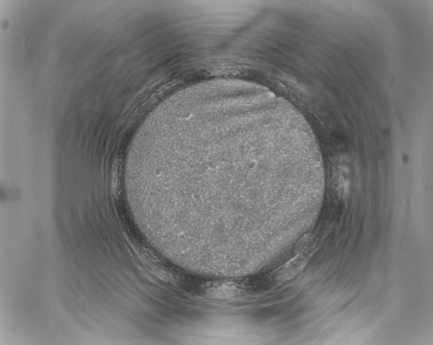 X0000058780074200510211758