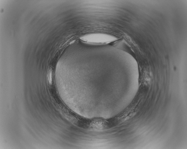 X0000058780076200510211758