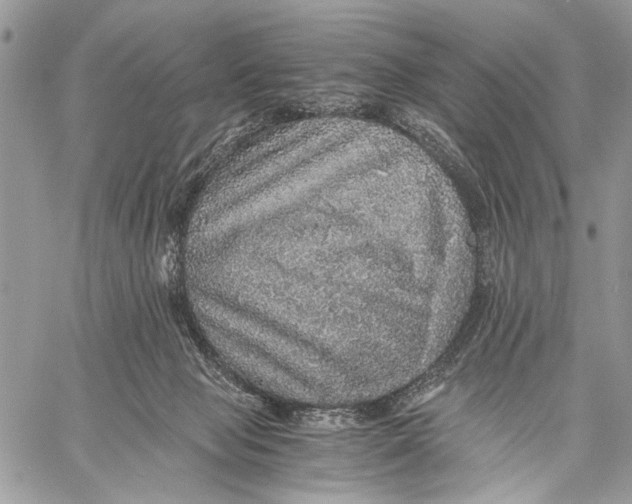 X0000058780077200510211758