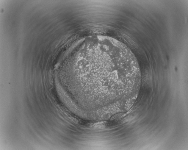 X0000058780078200510211758