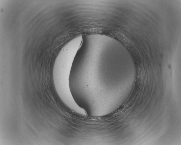 X0000058780080200510211759