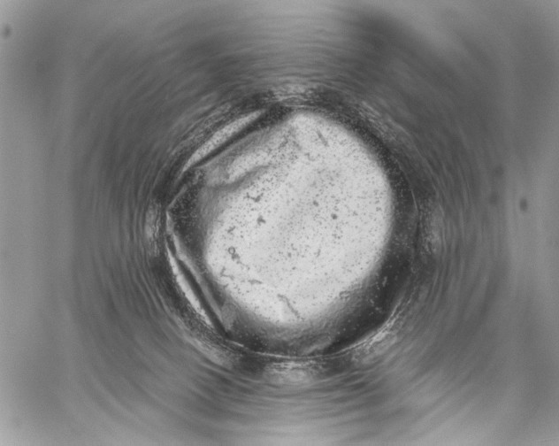 X0000058780082200510211759