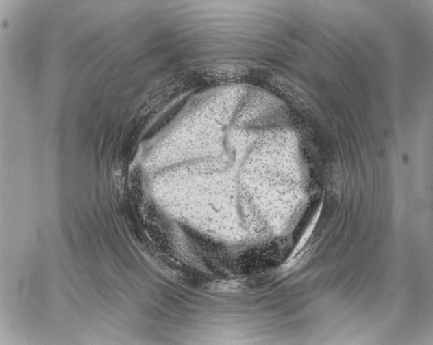 X0000058780086200510211759