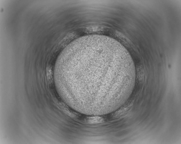 X0000058780087200510211759