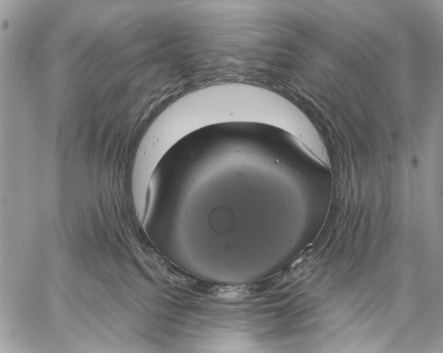 X0000058780088200510211759