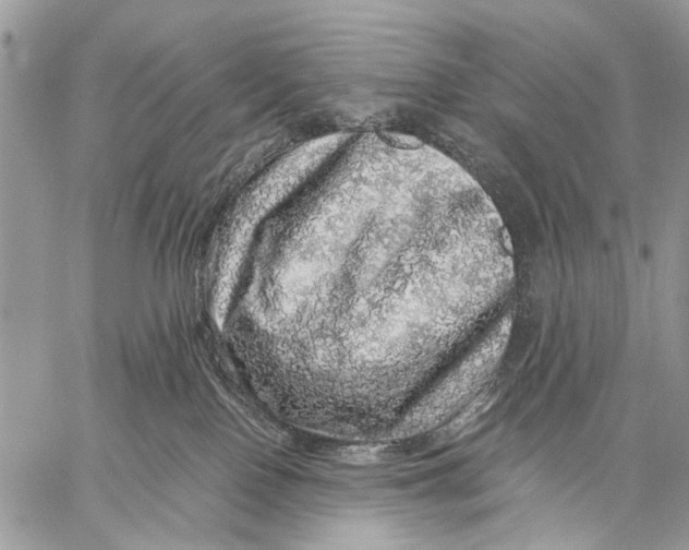 X0000058780090200510211759