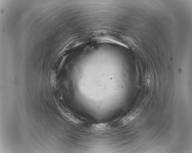 X0000058780092200510211759