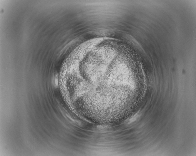 X0000058780095200510211759