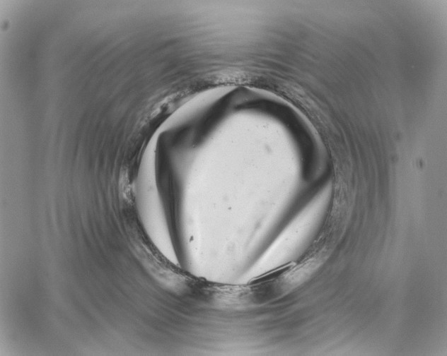 X0000058780096200510211759