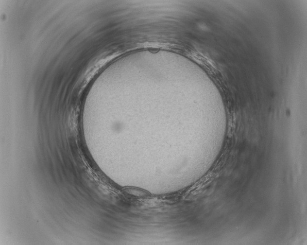 X0000058780098200510211758