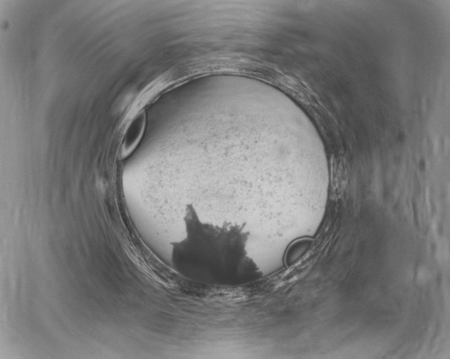 X0000058780099200510211758