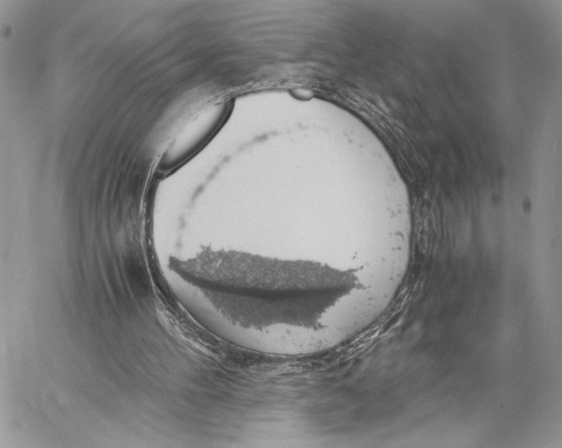 X0000058780100200510211758