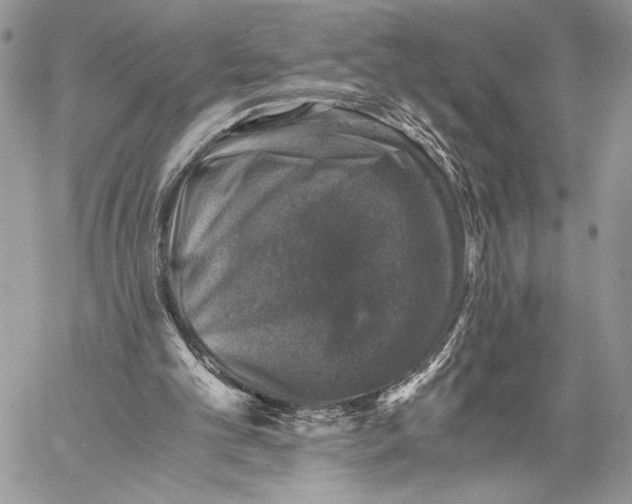 X0000058780101200510211758