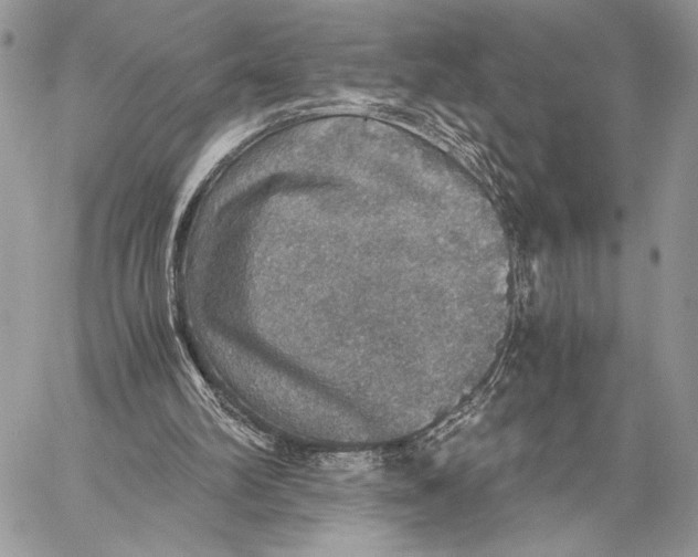 X0000058780102200510211758