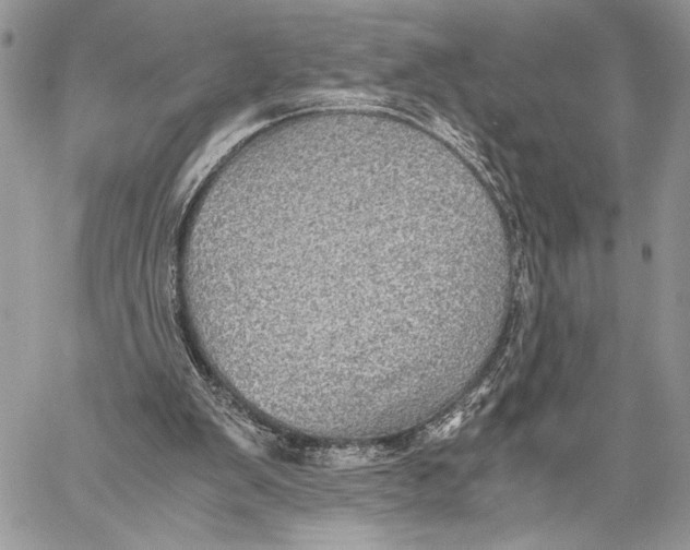 X0000058780103200510211758