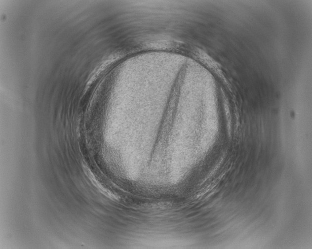 X0000058780106200510211758