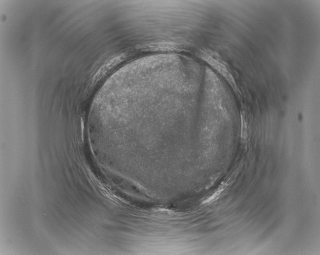 X0000058780109200510211758